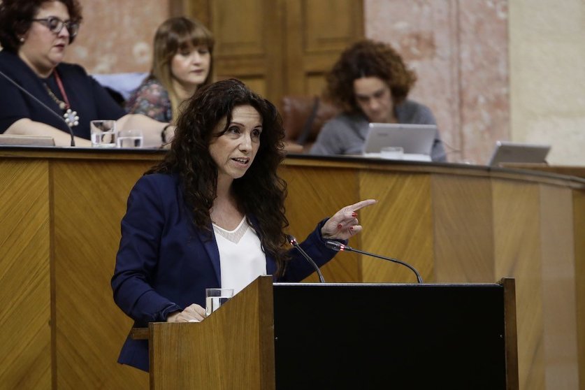 Rocio Ruiz - parlamento
