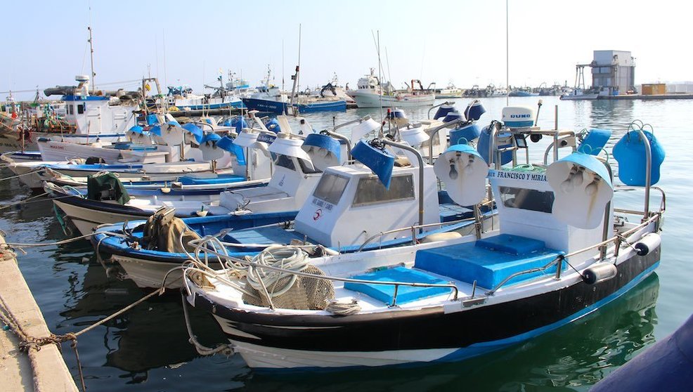 Puerto pesquero de Caleta de Vélez