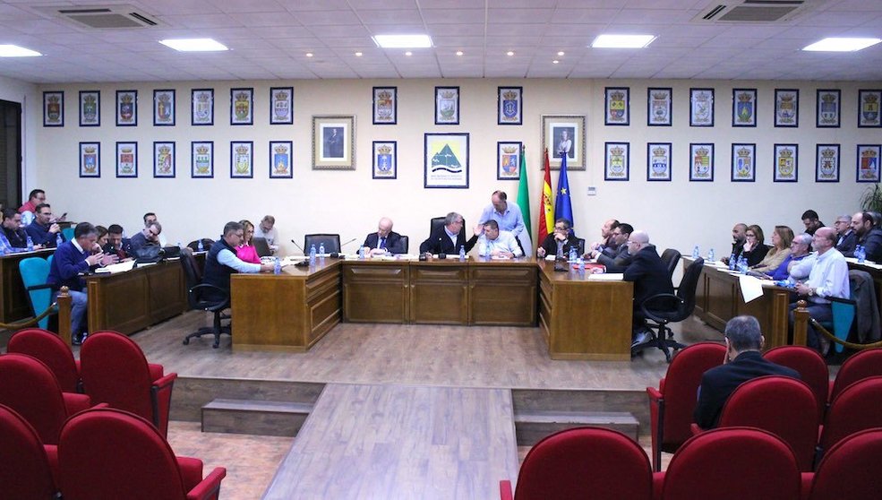 Pleno Mancomunidad de Municipios de la Axarquía. Foto de Archivo