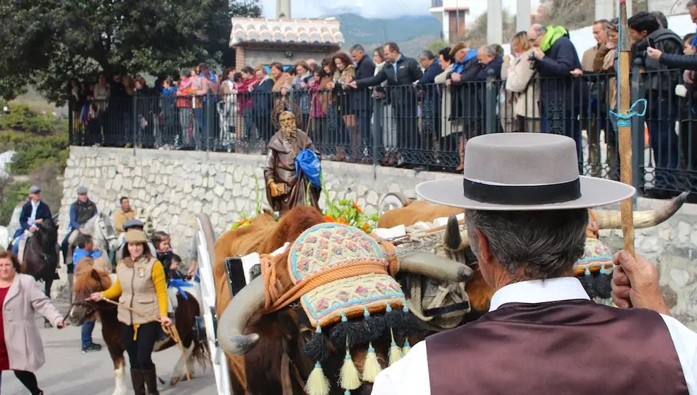 Romería de San Anton en Árchez