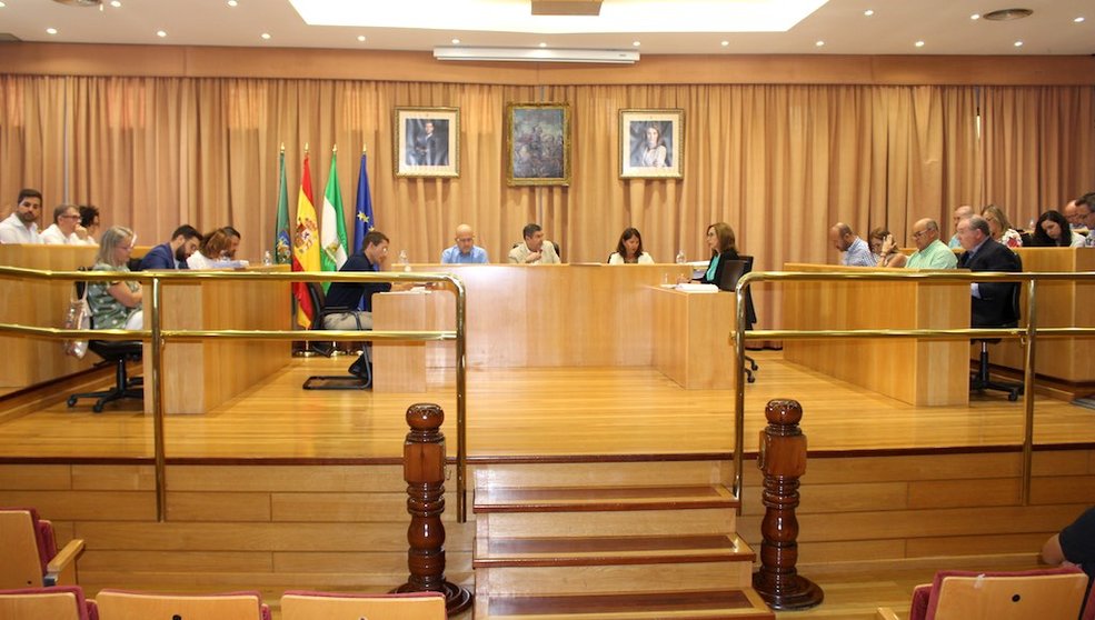 Pleno del Ayuntamiento de Vélez Málaga (foto de archivo)