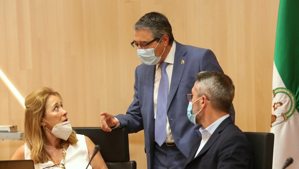Salado y Maldonado en un momento del Pleno de Diputación.
